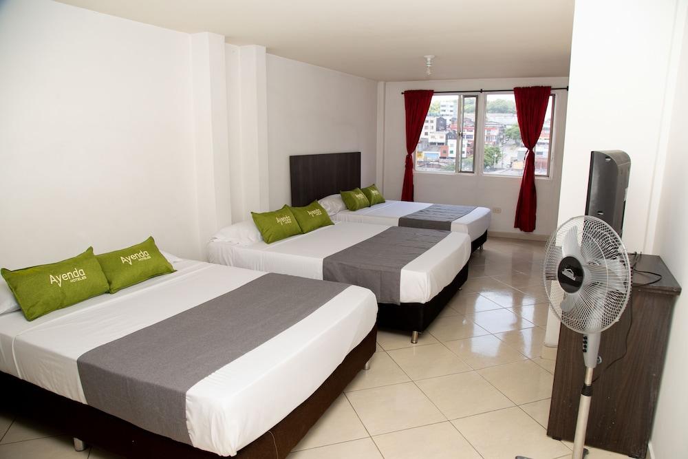 أييندا كويمبايا دي أورو 1903