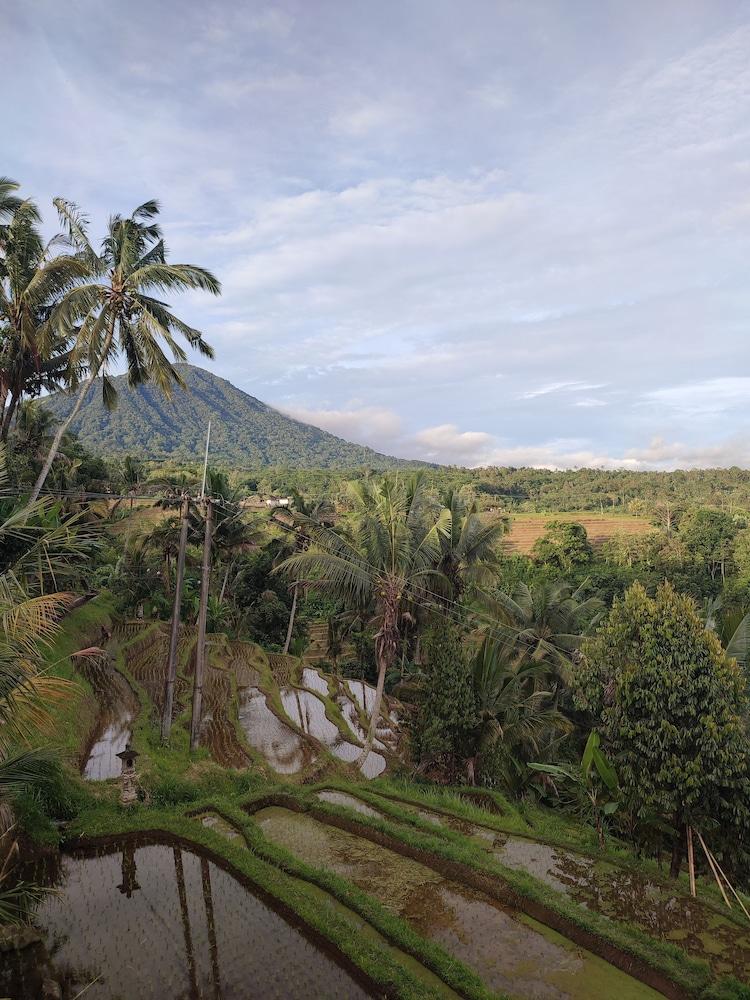 جونزا بد آند بريكفاست