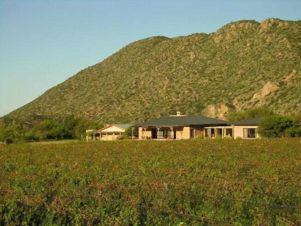 تشانار ميو هوتل دو فينو