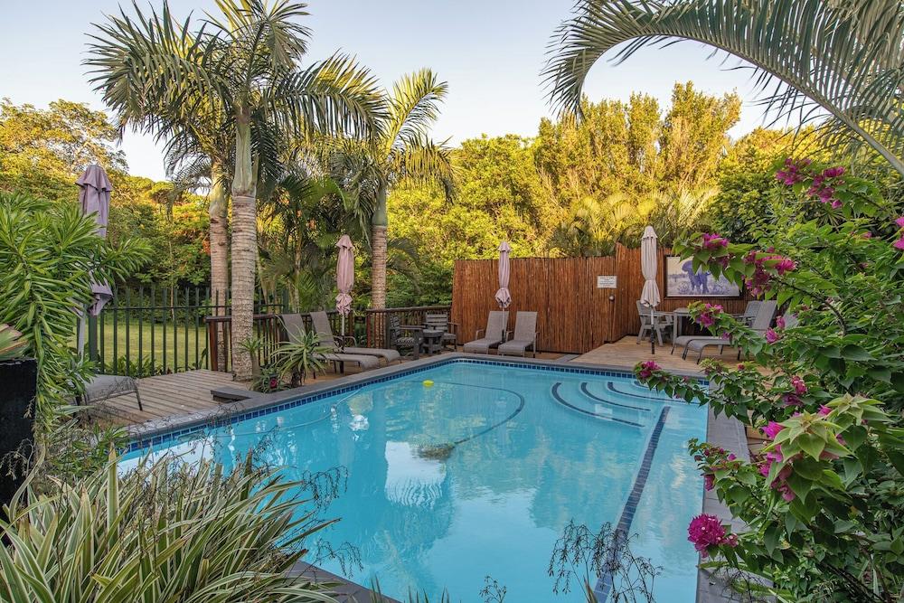 إليفانت كوست جيست هاوس