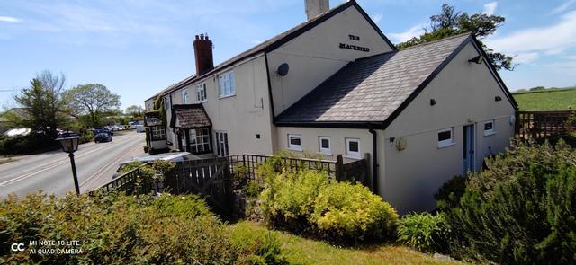 بلاك بيرد هاوس، شقق وإستوديوهات