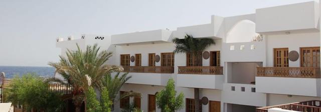 نجمة دهب