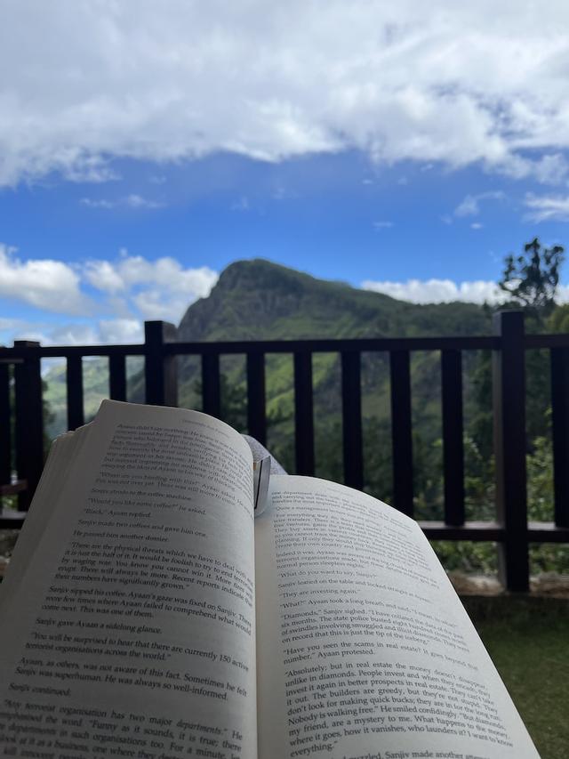 إلا ريدج فيو