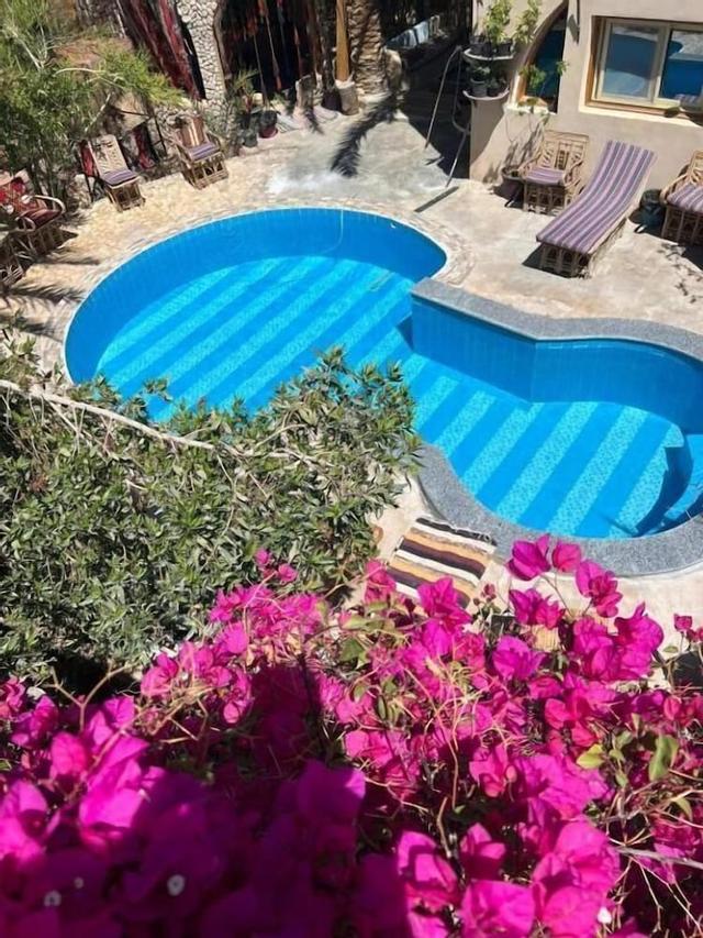 دريم لودج سيوة
