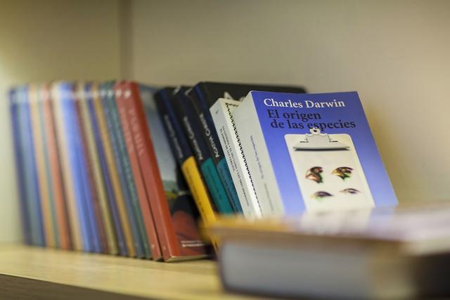 كوكو مات هوتل نافسيكا