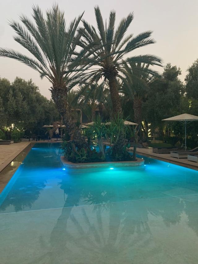 رياض الياسمين
