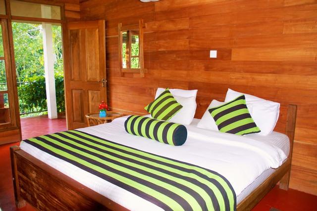 إيلا غرين كوتيدجيز