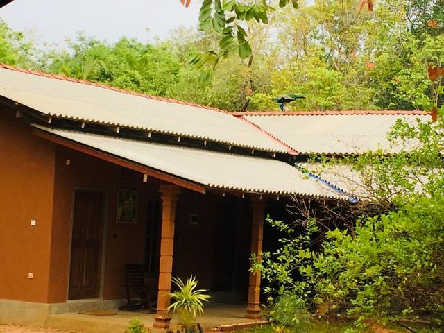 جاي إيكو لودج