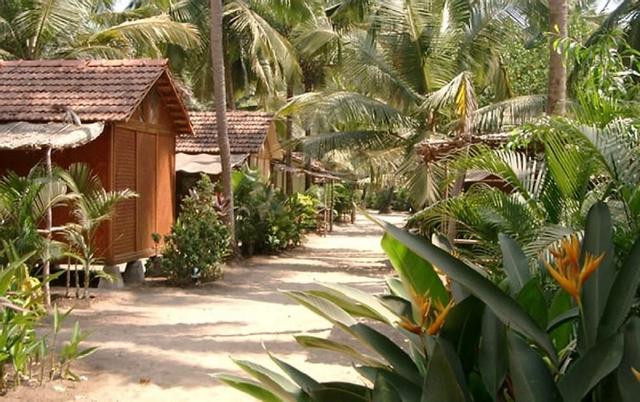 ستاي أبارت - فيليدج سوسيغات