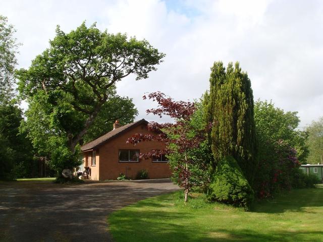 برونكويدويج ديفيلز بريدج