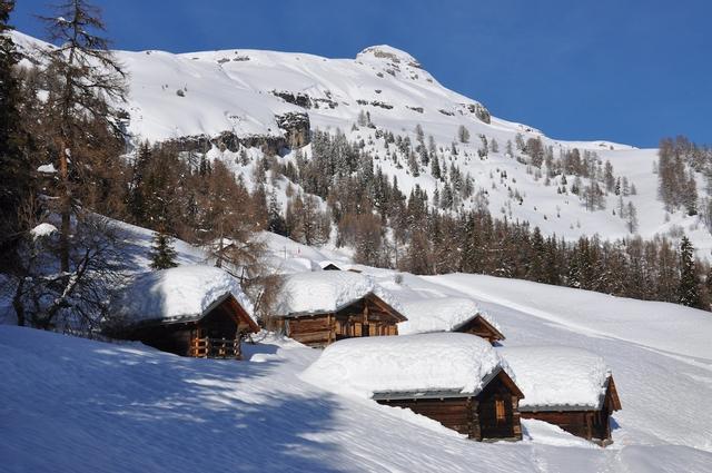 لو مايون دو كولومبير