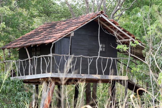 إيجلز وينجز جيست هاوس