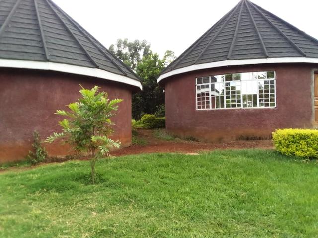 مشيفين جاردن ز إم 7