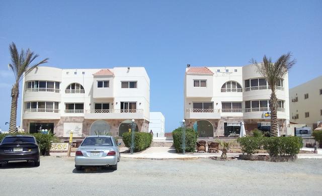 مرسى علم إن
