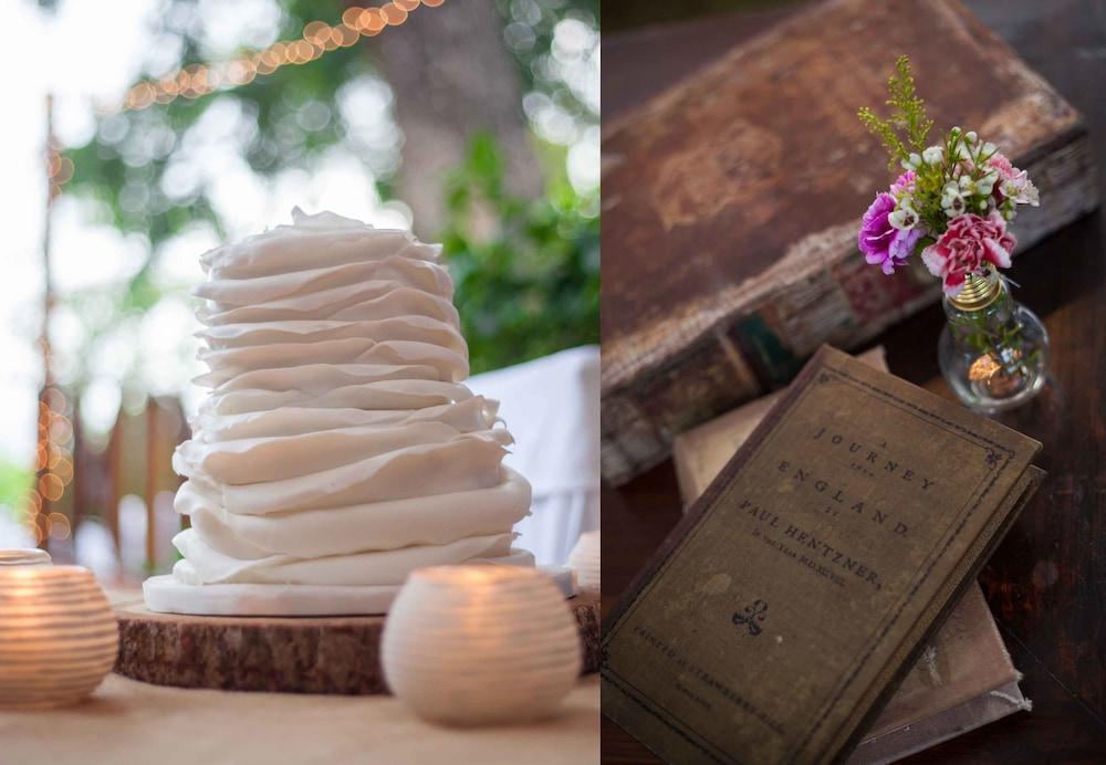 دوي ستاي ويل سانكتواري باربادوس - ويلنس إن بارادايس