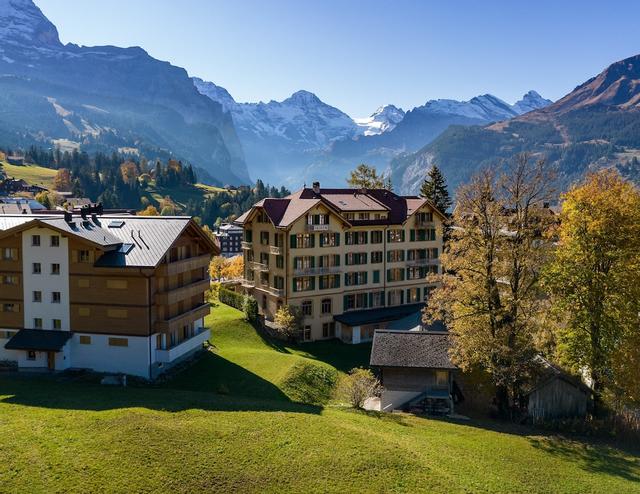 هوتل فالكين