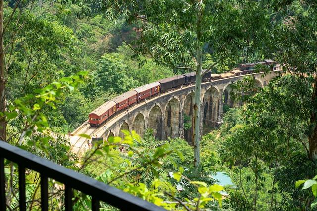 سينيفي 9 أرك هوم ستاي